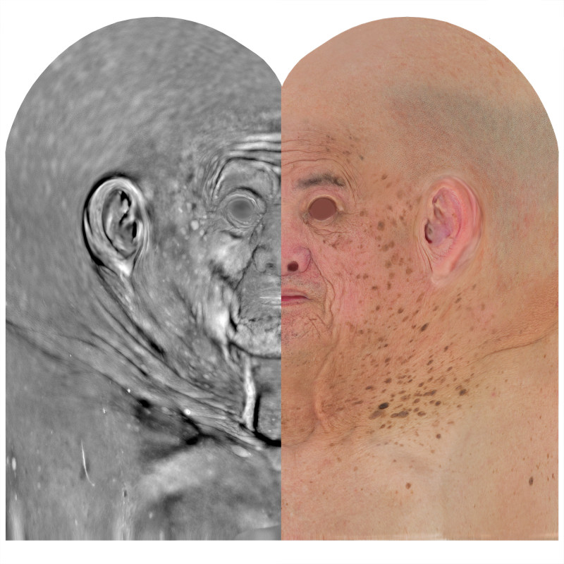 Male skin displacement map