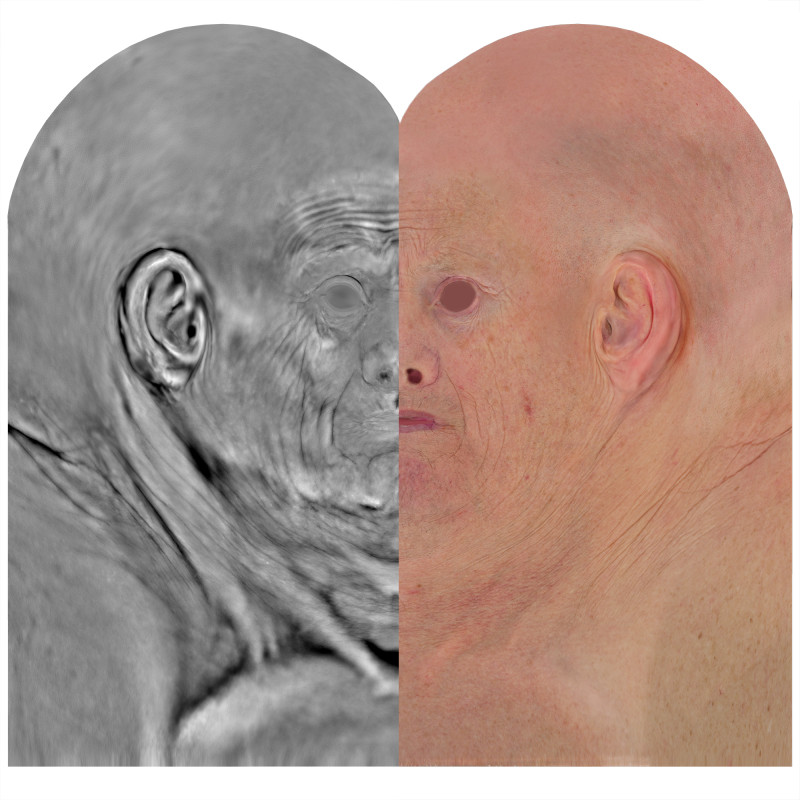 Male skin displacement map