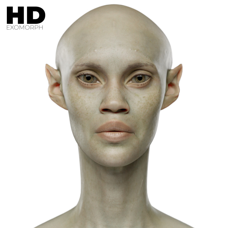 Female 3D Head Scan