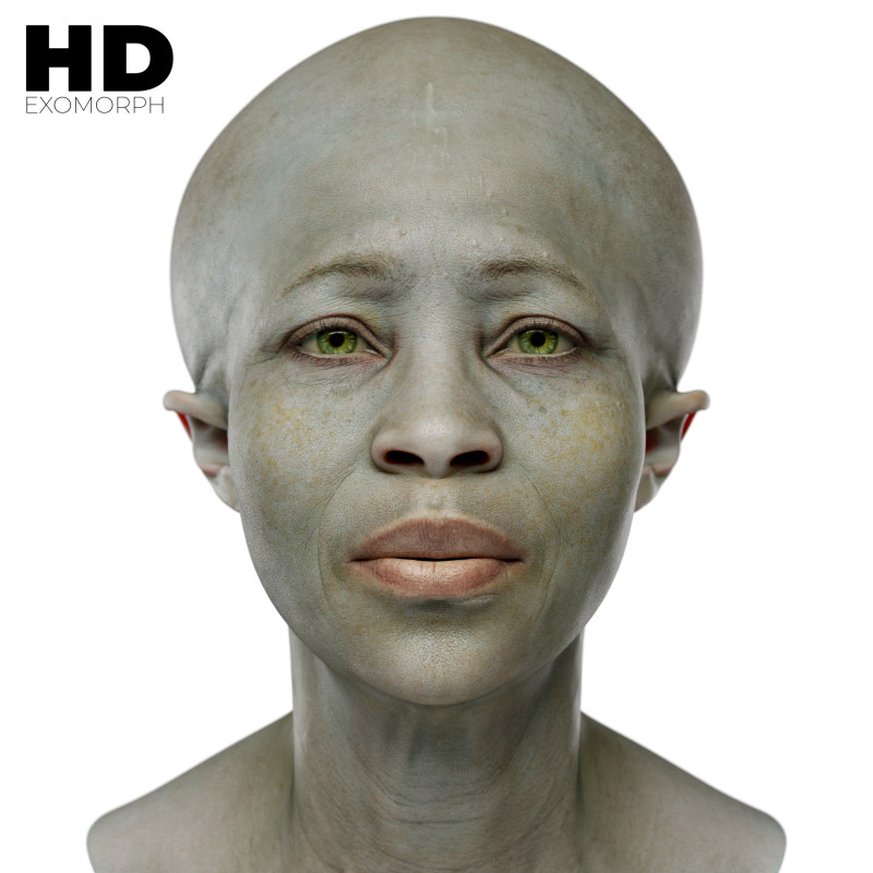 Female 3D Head Scan