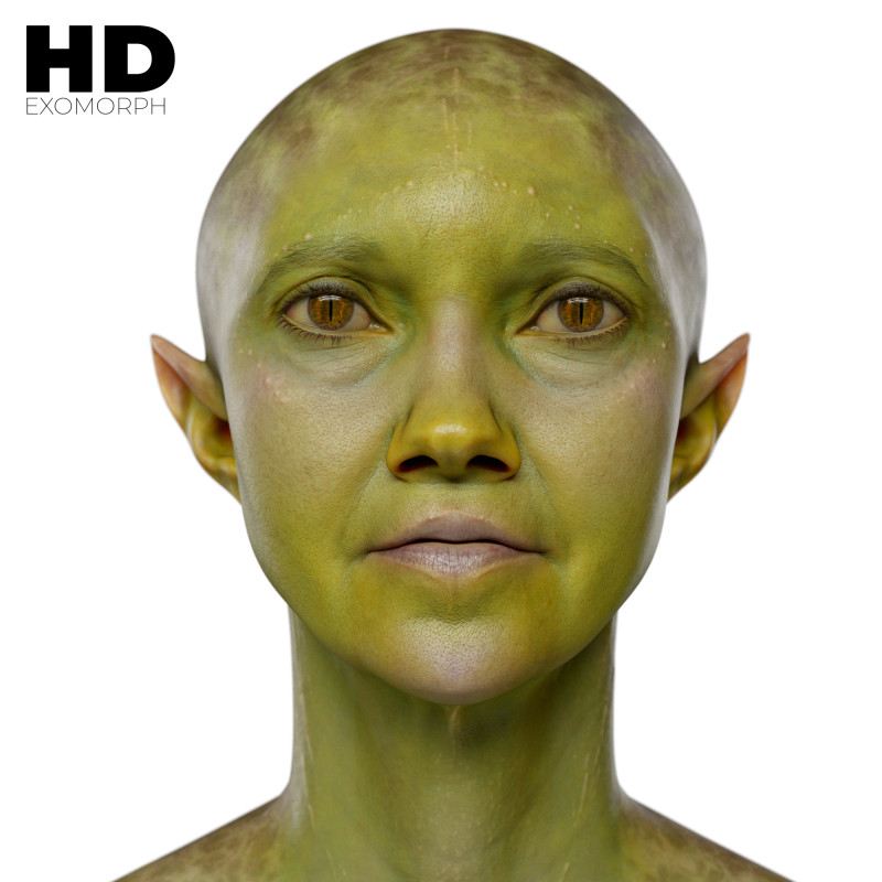 Female 3D Head Scan