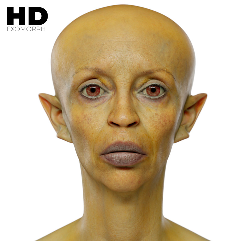 Female 3D Head Scan