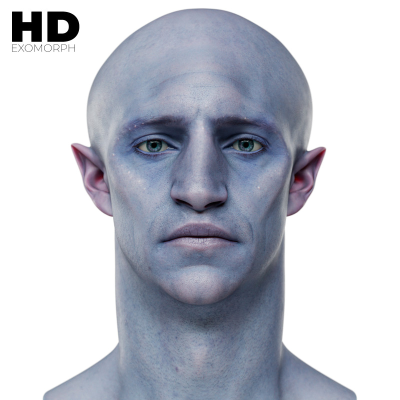 Male 3D Head Scan