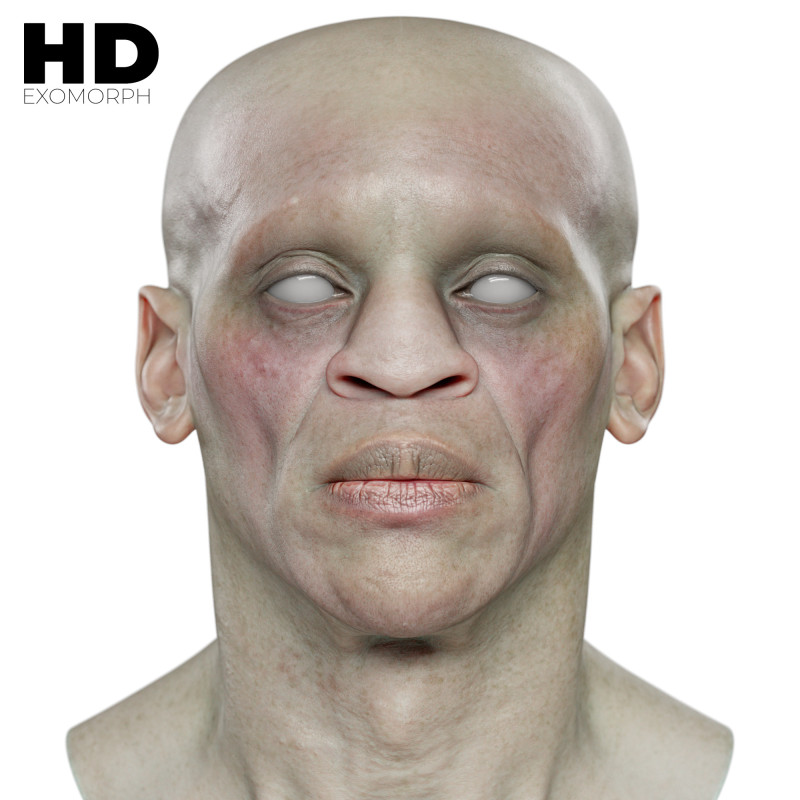 Male 3D Head Scan