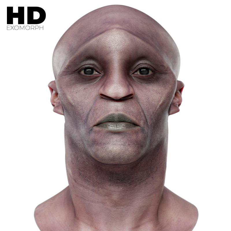 Male 3D Head Scan