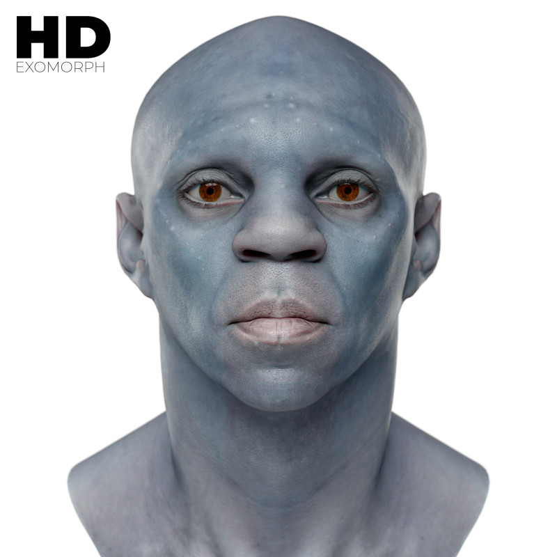 Male 3D Head Scan