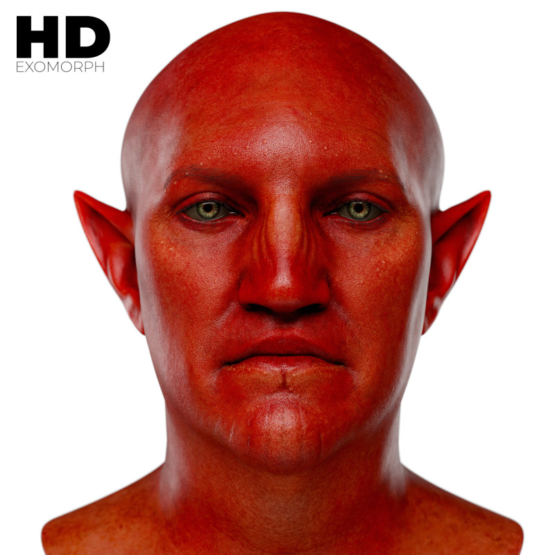 Male 3D Head Scan