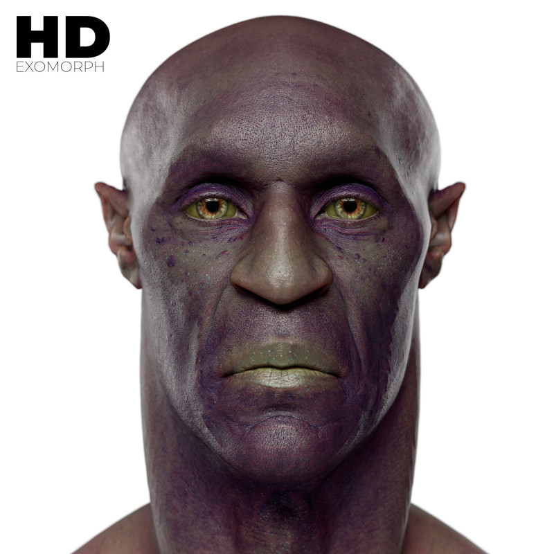 Male 3D Head Scan