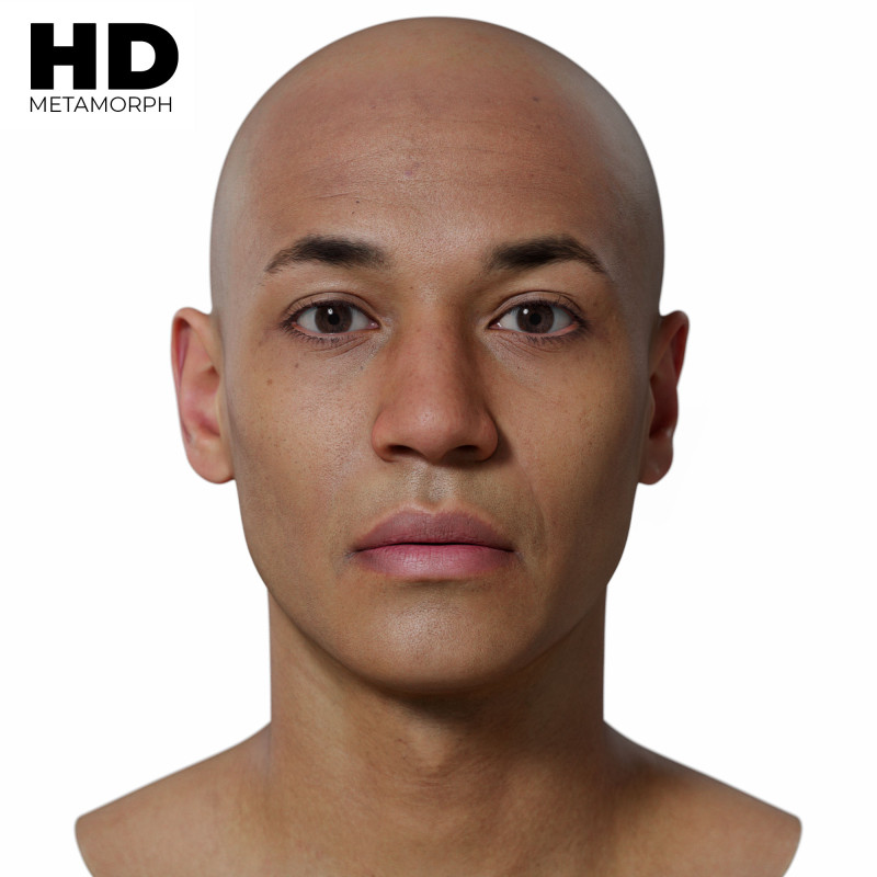 Male 3D Head Scan