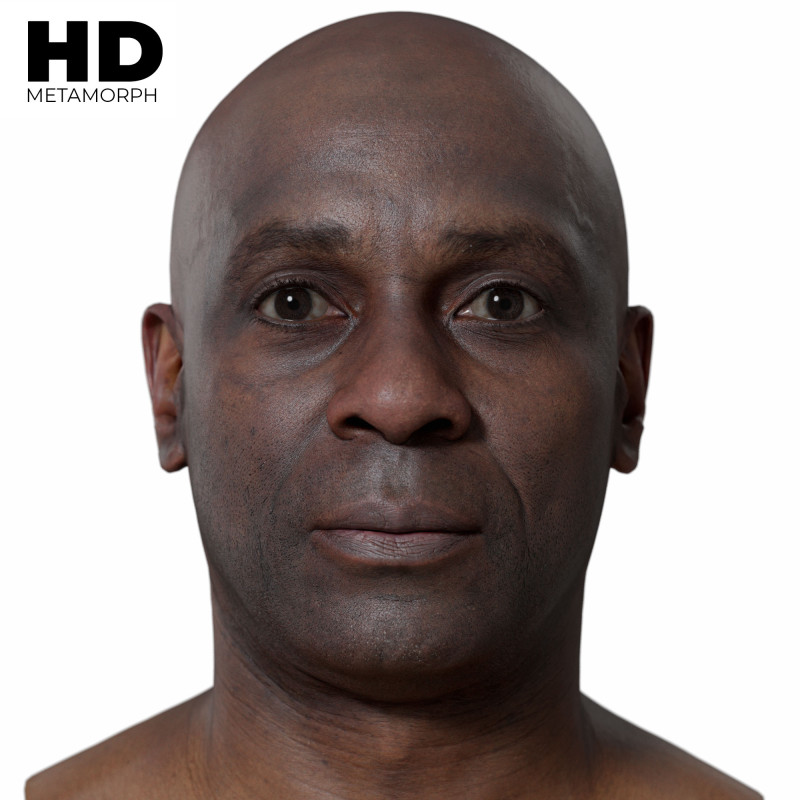 Male 3D Head Scan