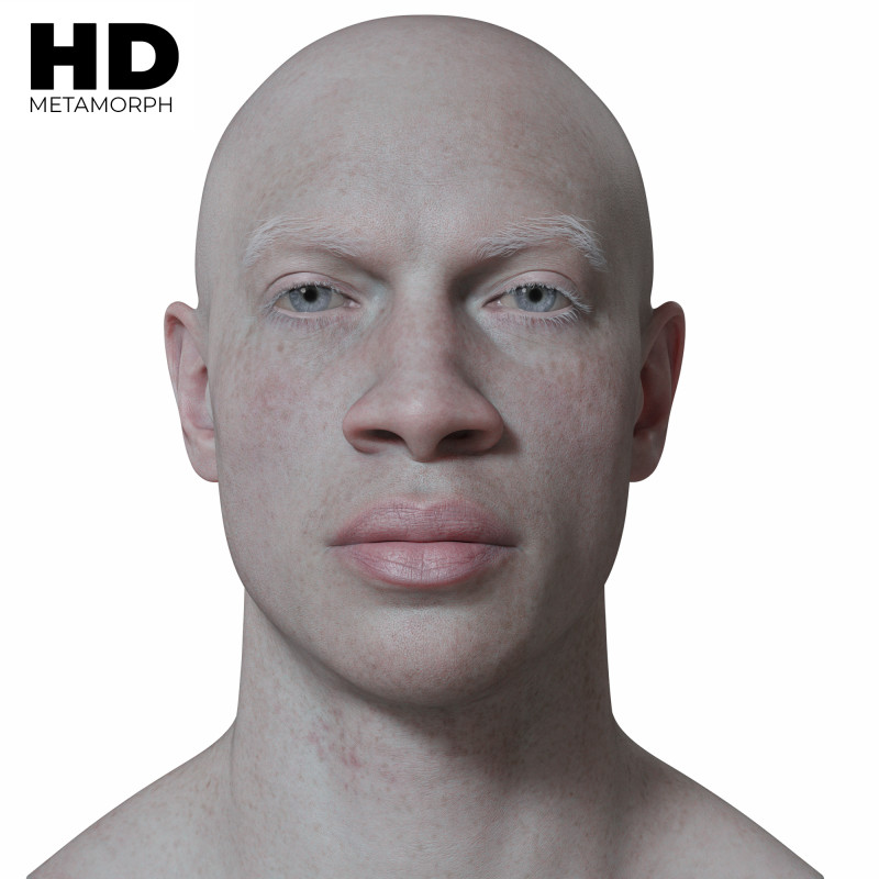 Male 3D Head Scan