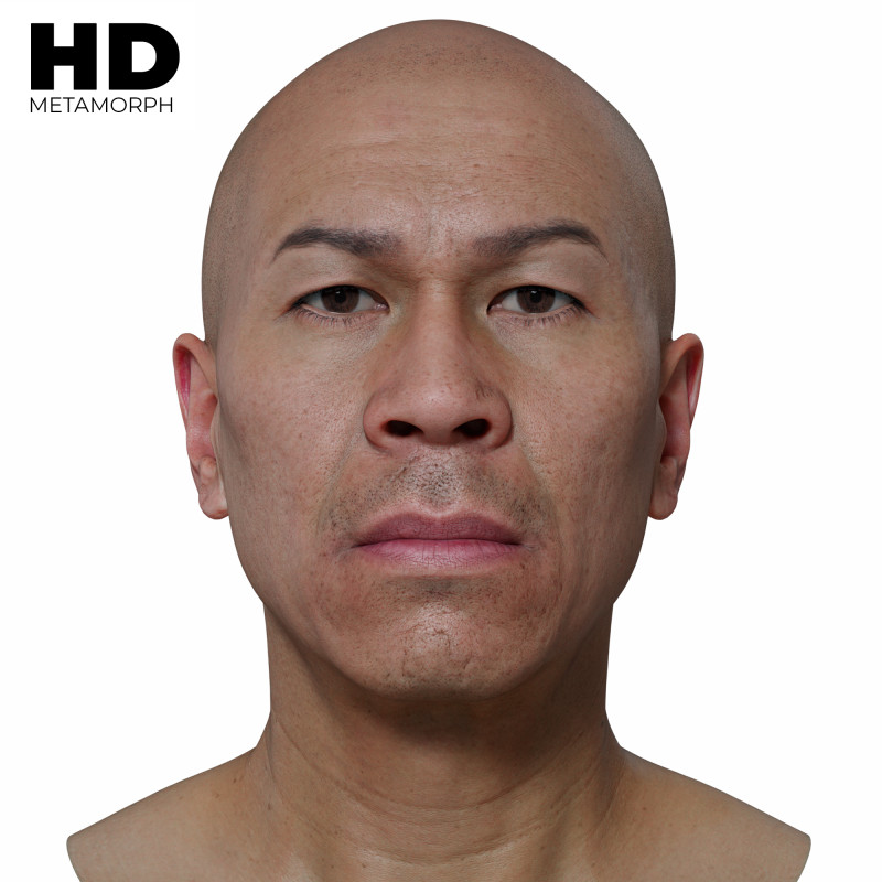 Male 3D Head Scan