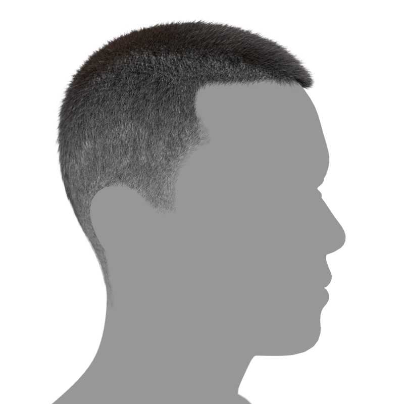 Buzz Cut hair realtime polygon hair download