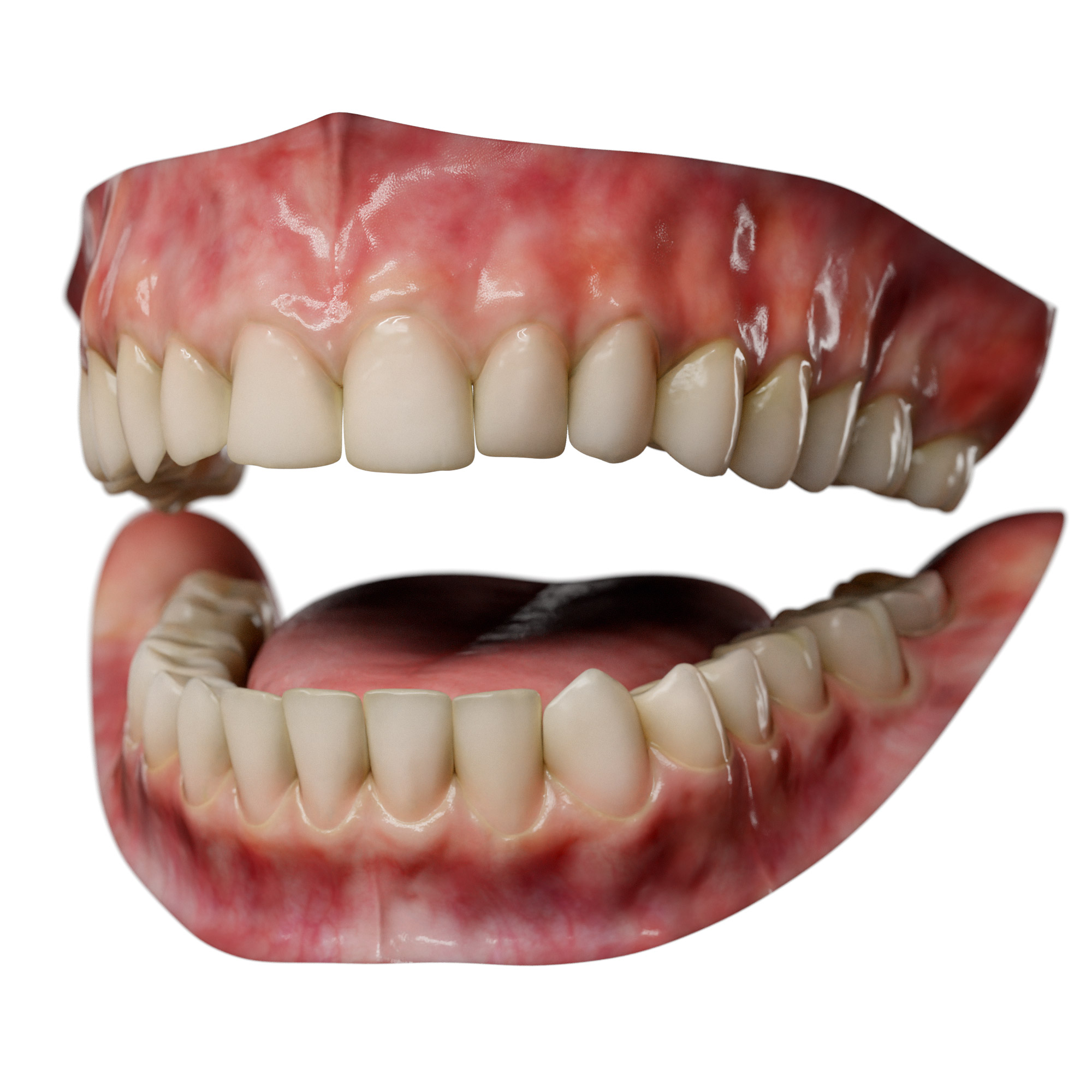 Teeth mold Scan 3D Model $35 - .obj - Free3D