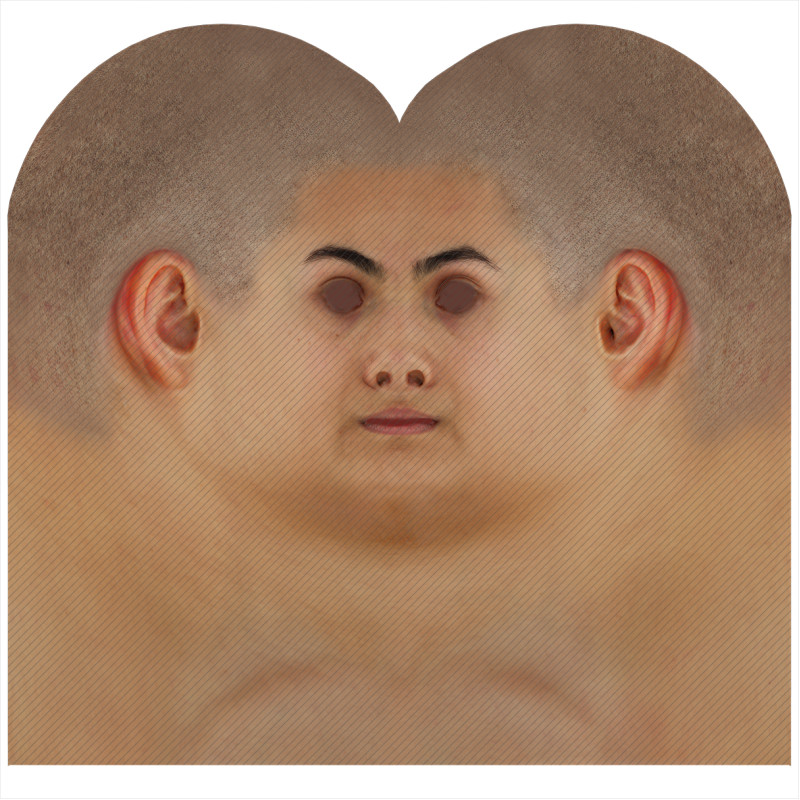 Download male head texture maps