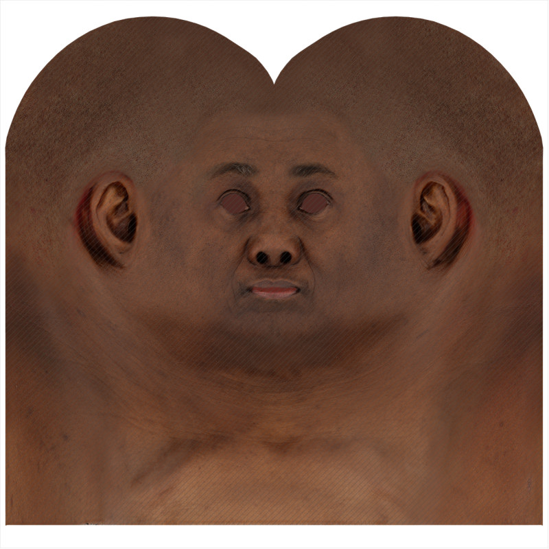 Download male head texture maps