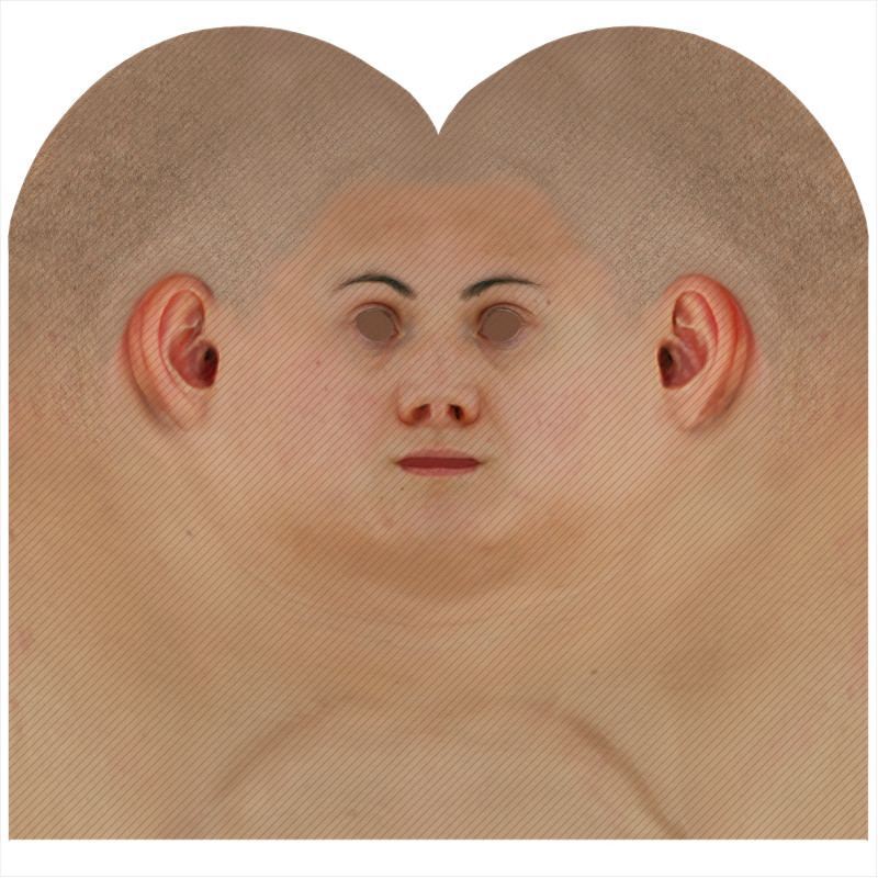 Download male head texture maps