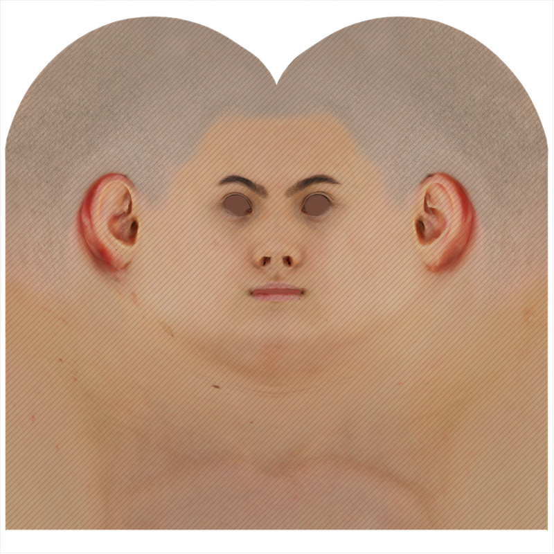 Download male head texture maps