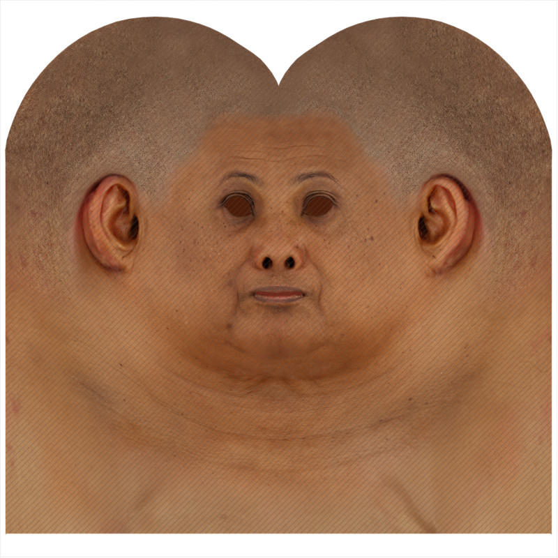 Download male head texture maps