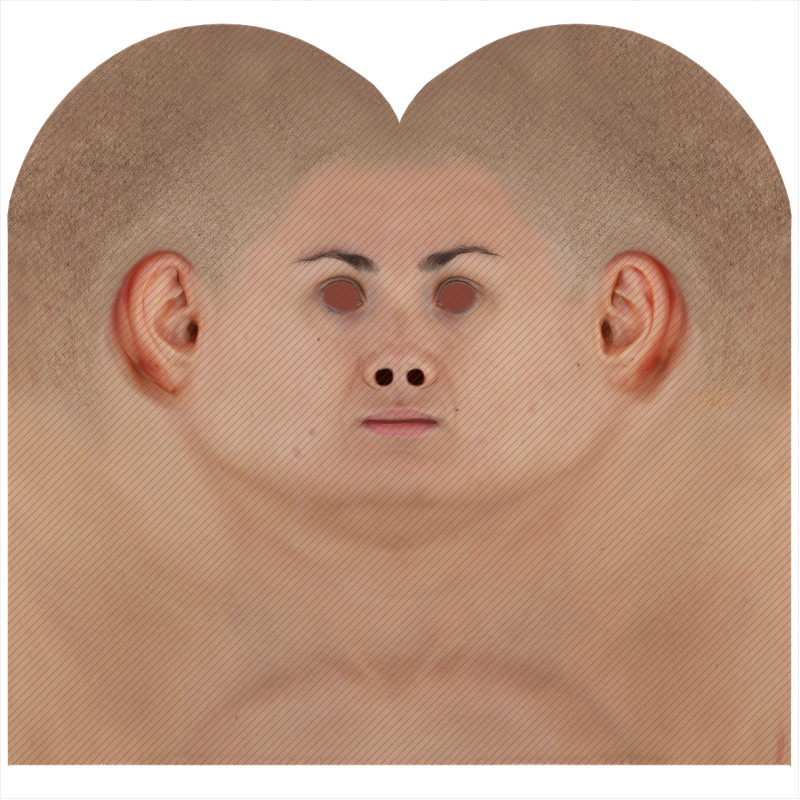 Download male head texture maps