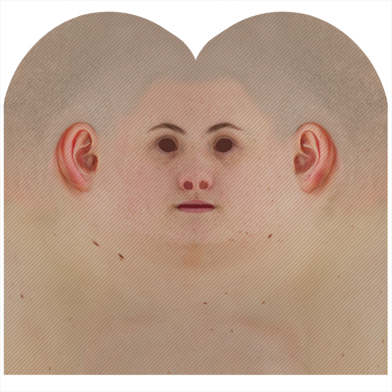 Download male head texture maps