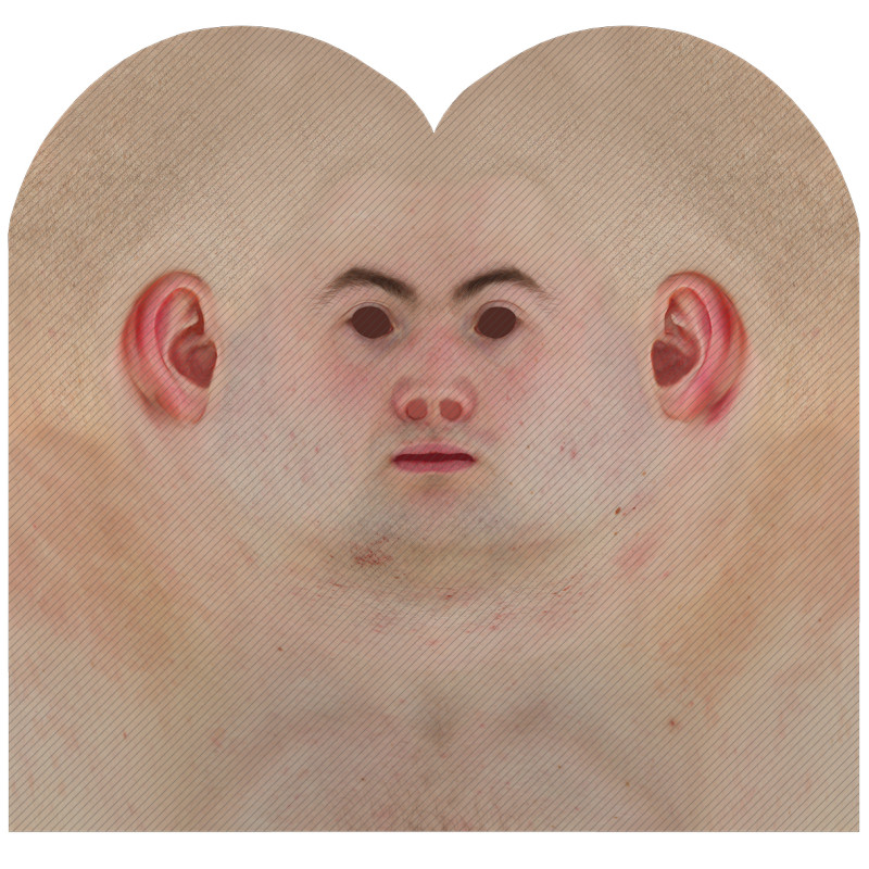 Download male head texture maps