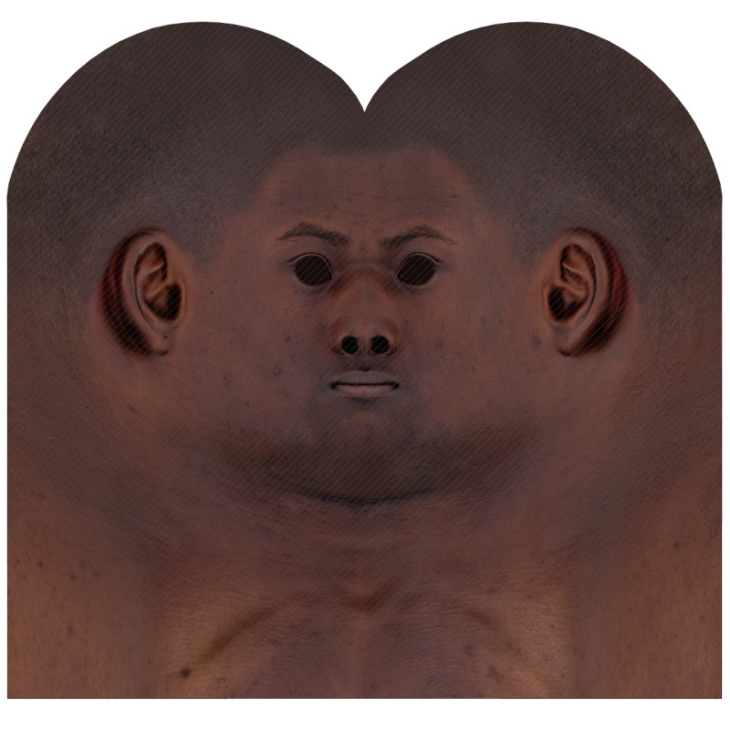 Download male head texture maps