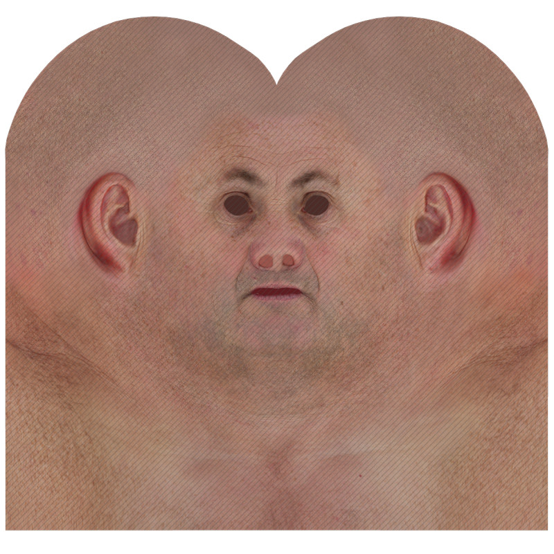 Download male head texture maps