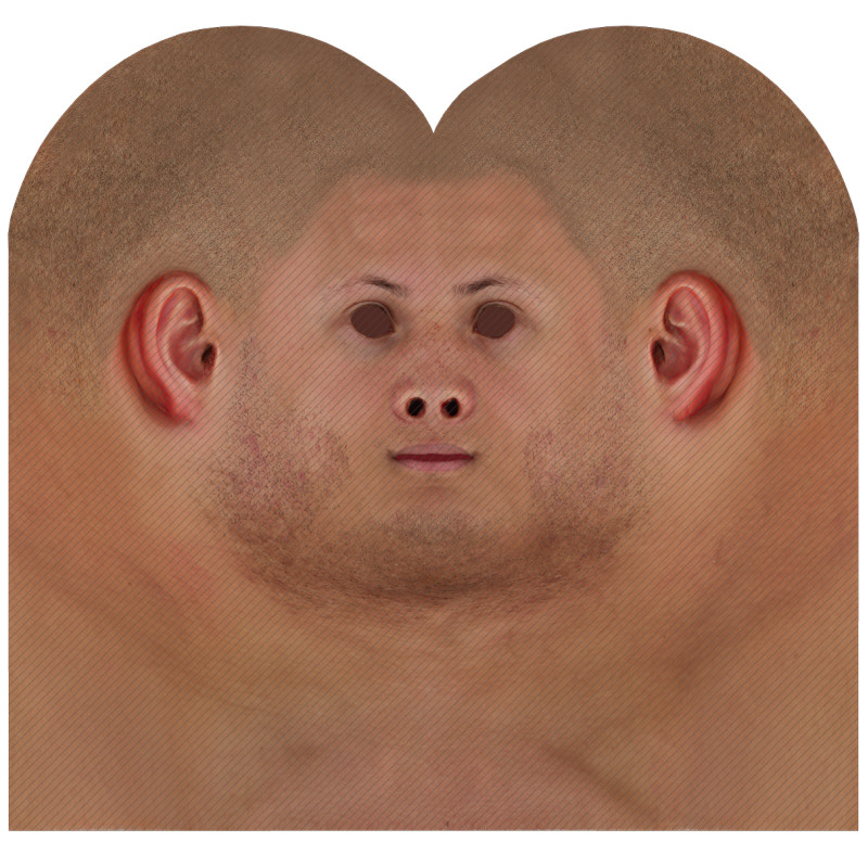 Download male head texture maps