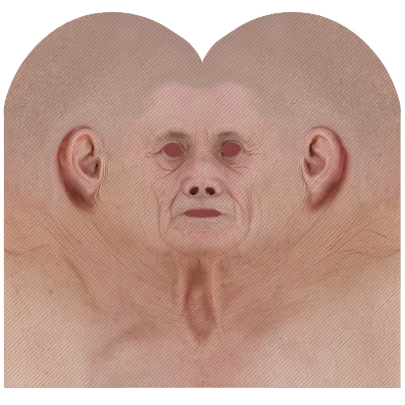 Download male head texture maps