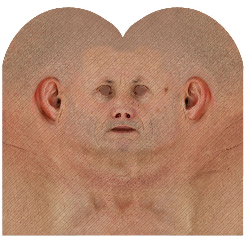 Download male head texture maps