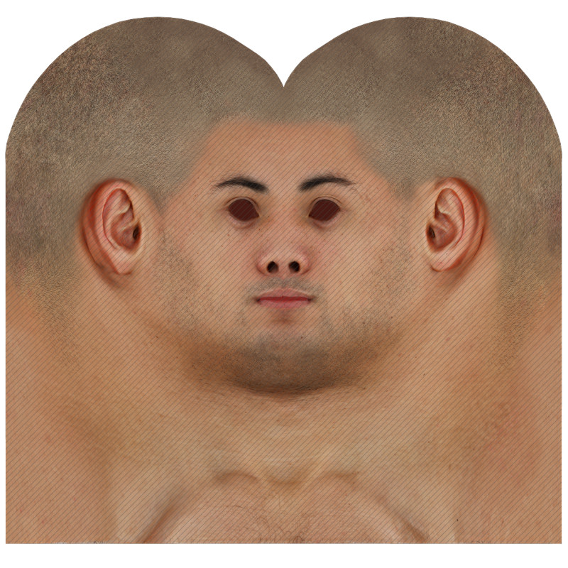 Download male head texture maps