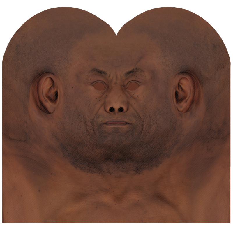 Male head texture map 46