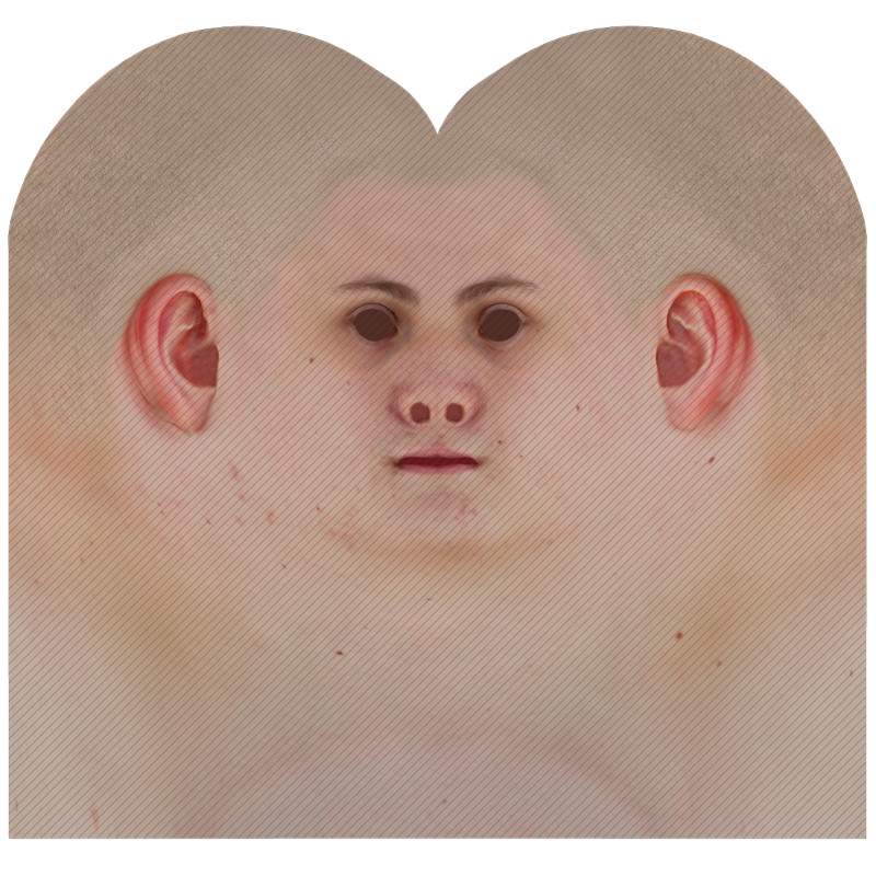 Download male head texture maps