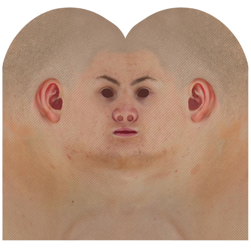 Download male head texture maps