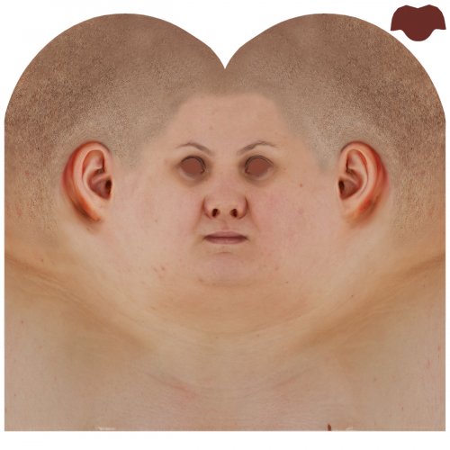 Female 02 / Head Texture Map
