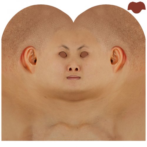 Female 04 / Head Texture Map