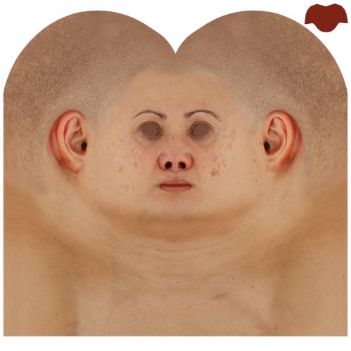Female 05 / Head Texture Map