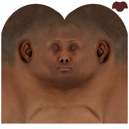Female 06 / Head Texture Map