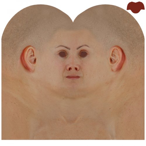 Female 07 / Head Texture Map