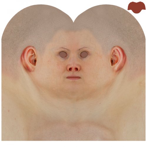 Female 08 / Head Texture Map