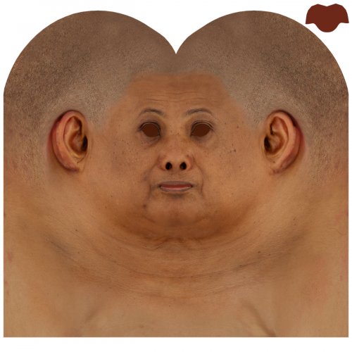 Female 09 / Head Texture Map