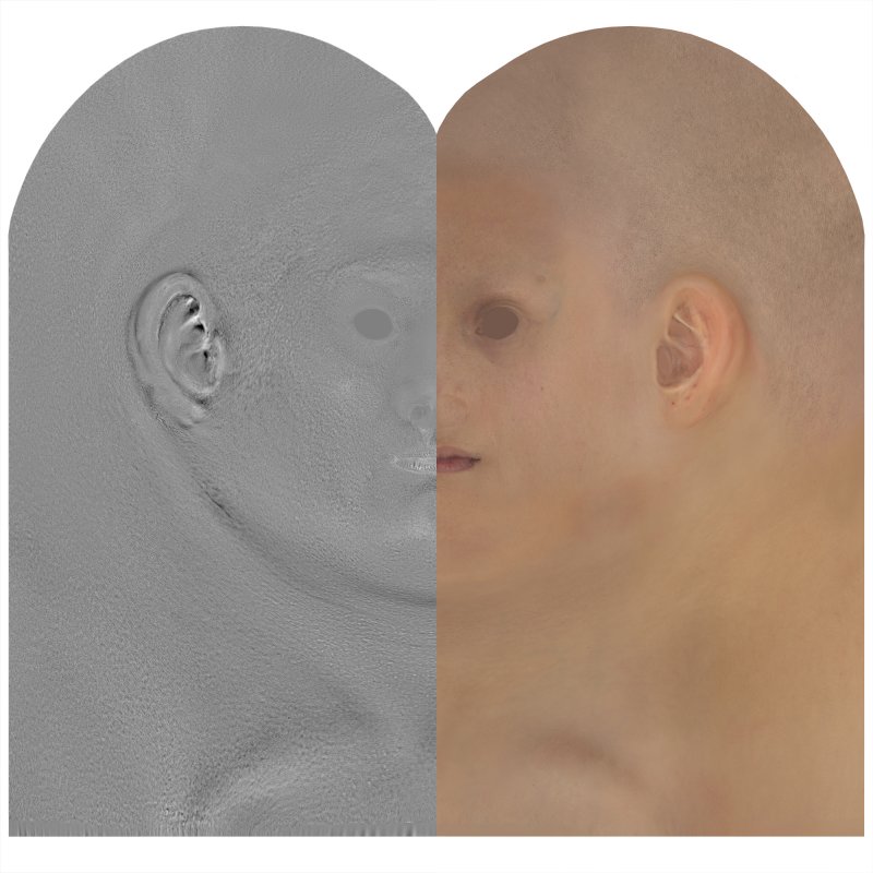 Download female head texture maps