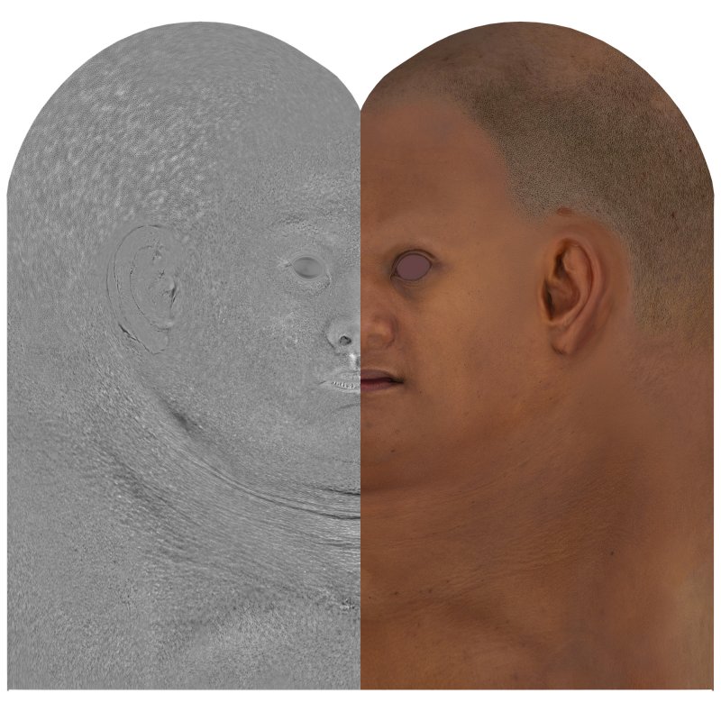 Download female head texture maps