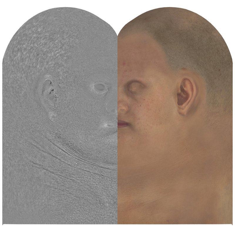 Download female head texture maps