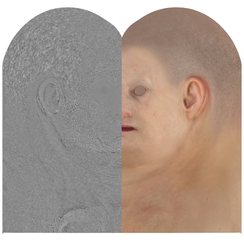 Download female head texture maps