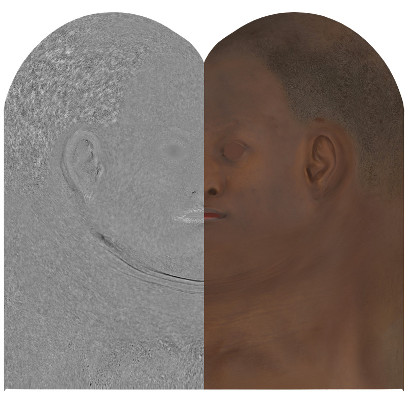 Download female head texture maps