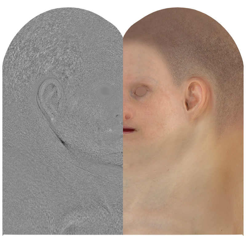 Download female head texture maps