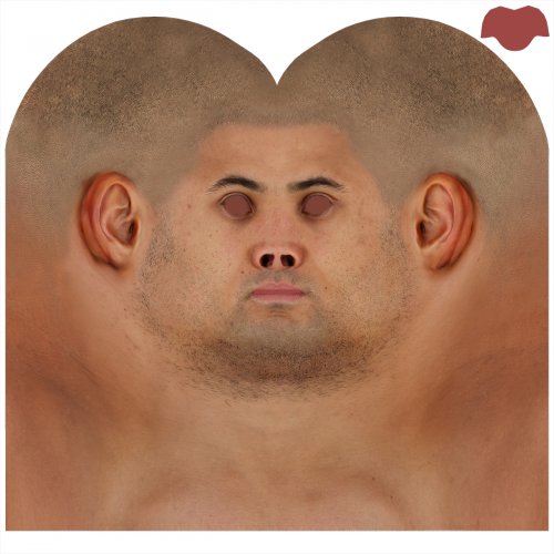 Male 01 / Head Texture Map
