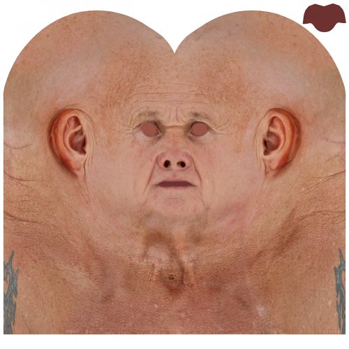 Male 02 / Head Texture Map